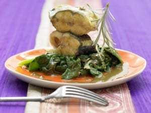 Wolfsbarsch in Kokosmilchsauce